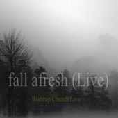 Fall Afresh (Live) artwork