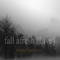 Fall Afresh (Live) artwork