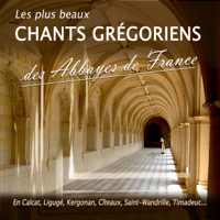 Various Artists - Les plus beaux chants grégoriens des abbayes de France artwork
