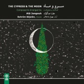 The Cypress & the Moon artwork