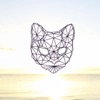 Katnip #3 - Single