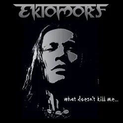 What Doesn't Kill Me... - Ektomorf