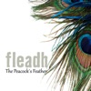 The Peacock's Feather, 2015
