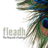 Fleadh - Bridge Of Trouble