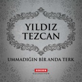 Ummadığın Bir Anda Terk artwork