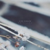 Alex Humann - Blurs