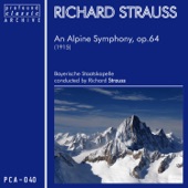 An Alpine Symphony for Orchestra, Op. 64 (TrV 233) artwork