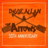 Davie Allan & The Arrows - Left Turn On Arrow Only