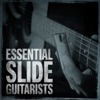 The Most Essential Slide Guitarists, 2014