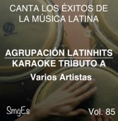 Instrumental Karaoke Series: Varios Artistas, Vol. 85 (Karaoke Version)