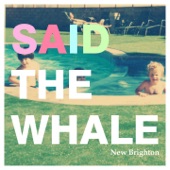 Said the Whale - Lines