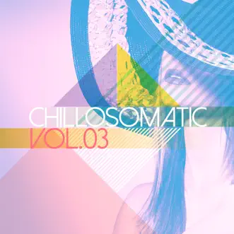 Chillosomatic, Vol. 3 by Various Artists album reviews, ratings, credits