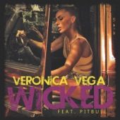 Wicked (Sean Finn Edit) [feat. Pitbull] artwork