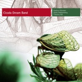 Cicada Dream Band