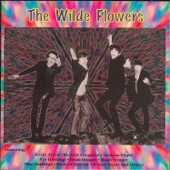 The Wilde Flowers artwork