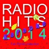 Radio Hits Karaoke 2014 (Fall Winter Collection)