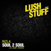 Stream & download Soul2soul - Single