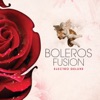 Boleros Fusion - Electro Deluxe, 2013