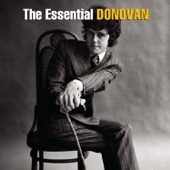 Donovan - Hampstead Incident (Album Version)