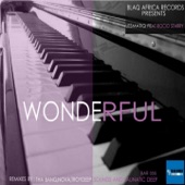 Wonderful (feat. Rocio Starry) [Launatic Deep Moody Mix] artwork
