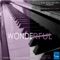 Wonderful (feat. Rocio Starry) [Launatic Deep Moody Mix] artwork