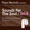 Papa Records Presents Sounds for the Soul, Vol. 4 (Selected & Compiled by Domu)