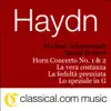 Horn Concerto No. 2 In D Major - Allegro Moderato song lyrics