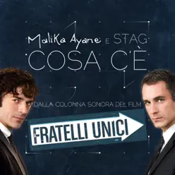 Cosa c'è (From "Fratelli unici") - Single - Malika Ayane