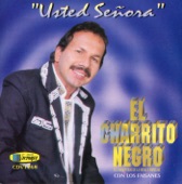 Usted Señora artwork