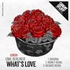 What's Love (Remixes) - Single