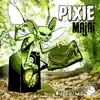 Stream & download Pixie - Single