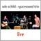 Day by Day - Udo Schild & Spacesound Trio lyrics