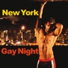 New York Gay Night, 2014