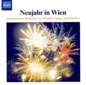 An der schönen blauen Donau, Waltzer, Op. 314 artwork