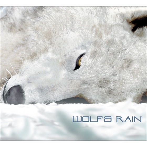 Cover artwork for Stray
