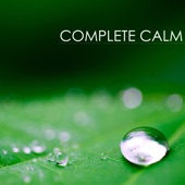 Complete Calm: Extremely Calming & Relaxing Piano Music for Relaxation Meditation and Stress Relief artwork