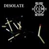 Desolate - Single