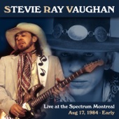 Stevie Ray Vaughan - Tin Pan Alley
