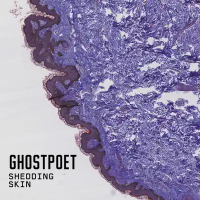 Shedding Skin - Ghostpoet