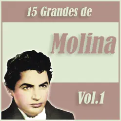 15 Grandes Éxitos de Antonio Molina Vol. 1 - Antonio Molina