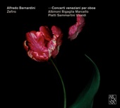 Oboe Concerto in D Minor: I. Andante e spiccato artwork