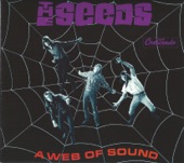 The Seeds - A Faded Picture (Stereo)