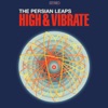High & Vibrate - EP