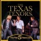 Rocky Top (Live 2014) [feat. Jc Fisher] - The Texas Tenors lyrics