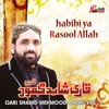 Habibi Ya Rasool Allah, Vol. 9 - Islamic Naats