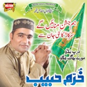 Nabi Nabi Mere Nabi artwork