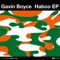 Delta Sleep - Gavin Boyce lyrics