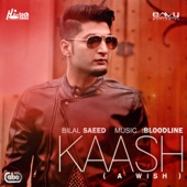 Kaash (with Bloodline) artwork