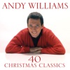 It's the Most Wonderful Time of the Year by Andy Williams iTunes Track 7