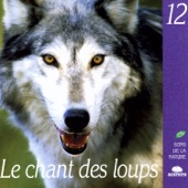 The Howling of Wolves (Le chant des loups) artwork